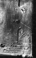 E029798