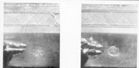 E031270