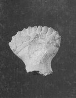 E032669