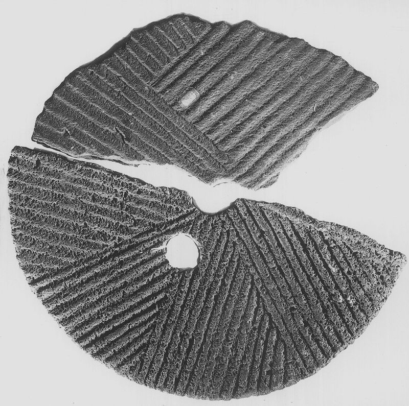 meule / Oudheidkundig Museum