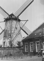 E035951