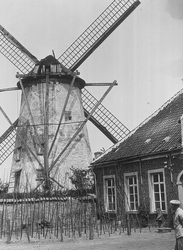 Witte Molen