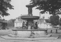 E036558