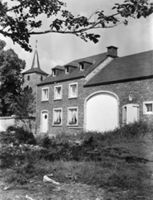 E036919