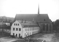 E037681