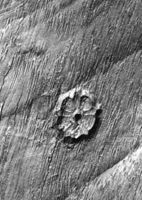 E038308