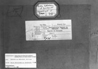 E041754