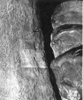 E043421