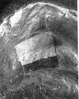 E043422