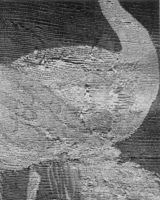 E043612