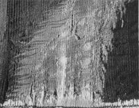 E043613