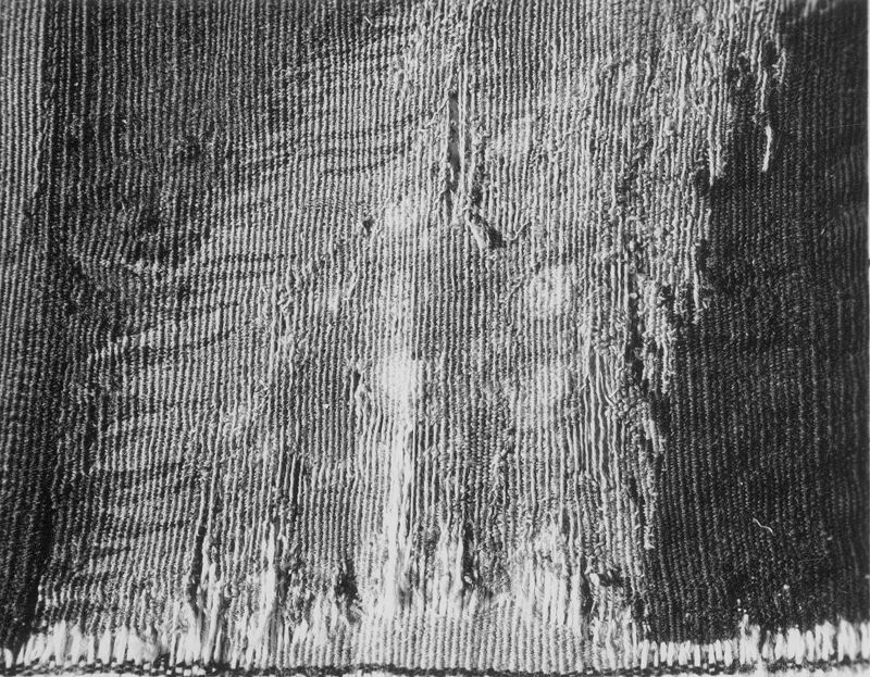 Paysage avec paons