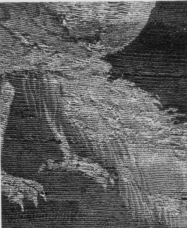 Paysage avec paons