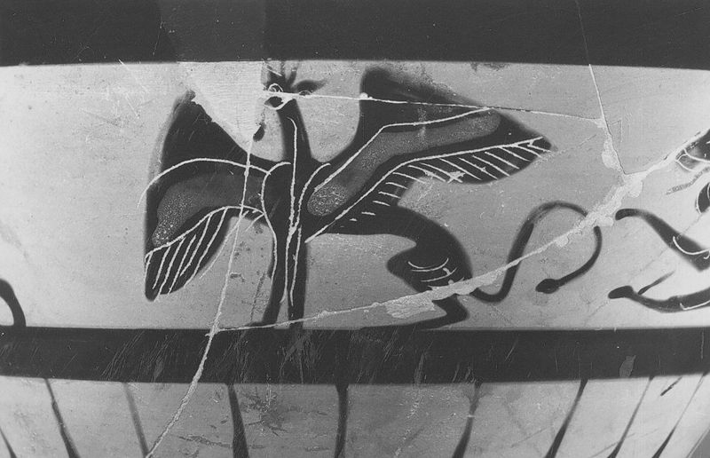 Amphore nikosthénienne signée et ornée de femmes ailées