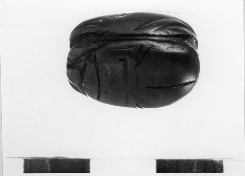 cachet[objet] / Musées Royaux d'Art et d'Histoire