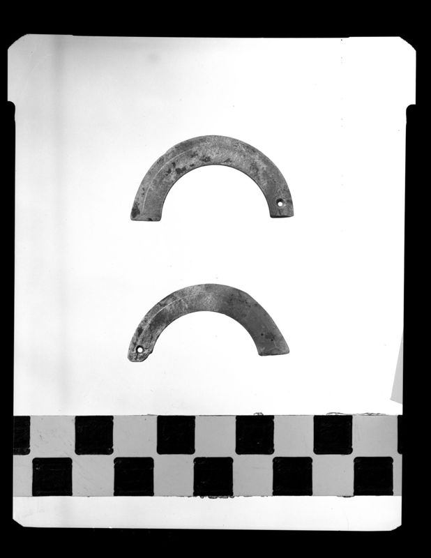 Section d'anneau