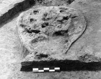 E046077