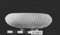 E046353