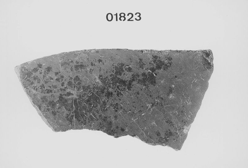ostracon / Musées Royaux d'Art et d'Histoire