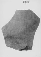E046519