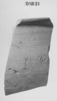 E046525