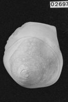 E046723
