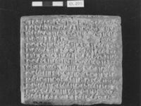 E047616