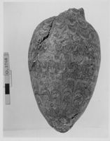 E047718