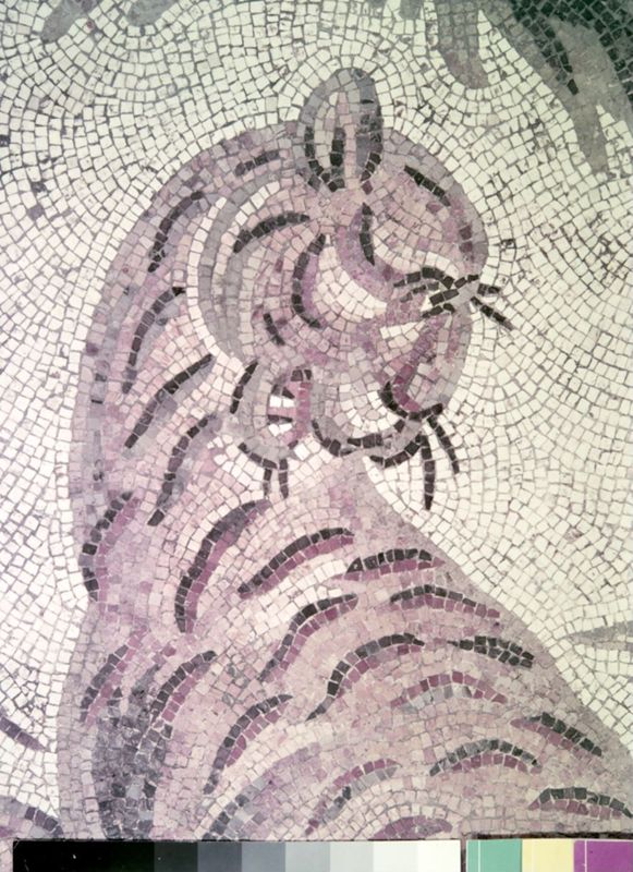 Apamée: grande mosaïque de chasse du Triclinos - Apamea: het grote jachtmozaïek