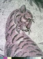 G000246