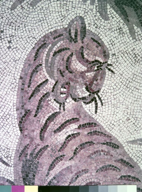 Apamée: grande mosaïque de chasse du Triclinos - Apamea: het grote jachtmozaïek