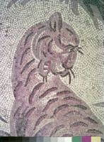 G000247