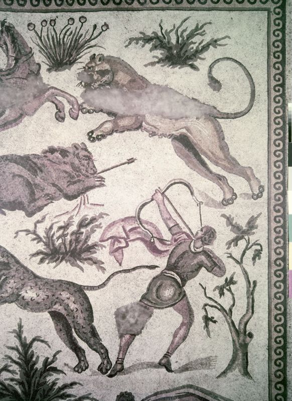Apamée: grande mosaïque de chasse du Triclinos - Apamea: het grote jachtmozaïek