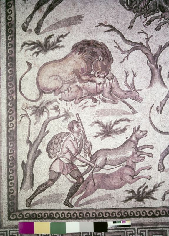 Apamée: grande mosaïque de chasse du Triclinos - Apamea: het grote jachtmozaïek
