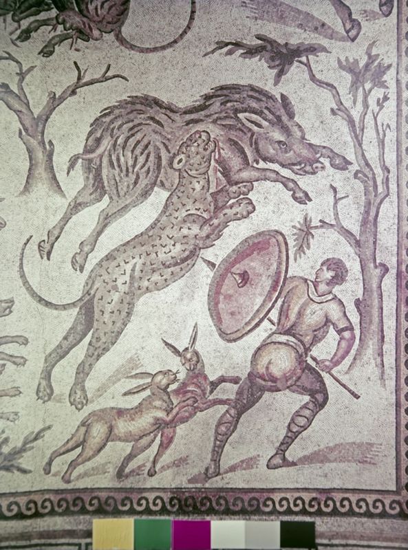 Apamée: grande mosaïque de chasse du Triclinos - Apamea: het grote jachtmozaïek