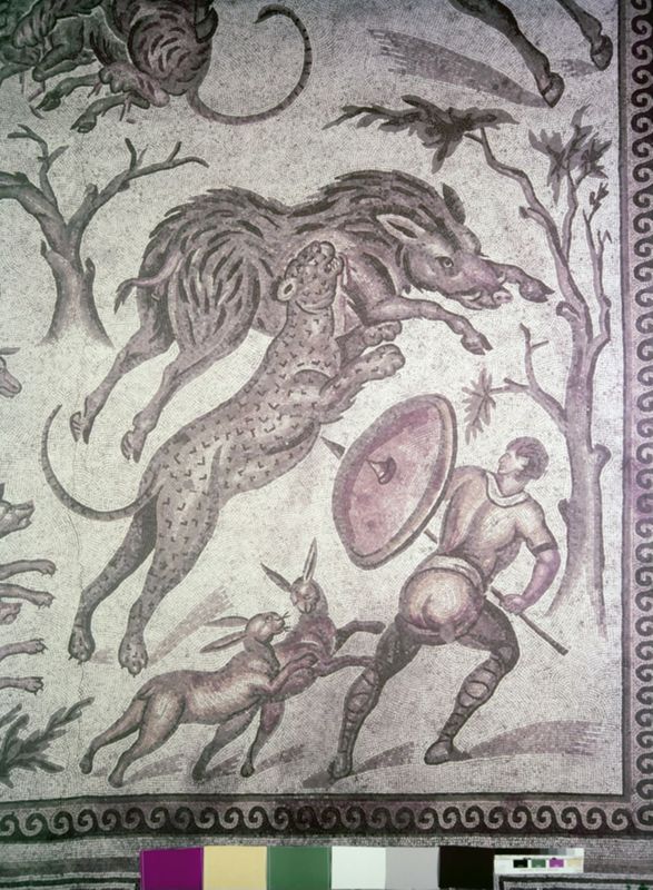 Apamée: grande mosaïque de chasse du Triclinos - Apamea: het grote jachtmozaïek