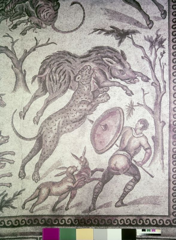 Apamée: grande mosaïque de chasse du Triclinos - Apamea: het grote jachtmozaïek