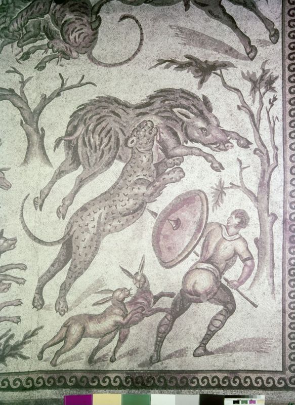 Apamée: grande mosaïque de chasse du Triclinos - Apamea: het grote jachtmozaïek