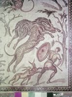 G000257