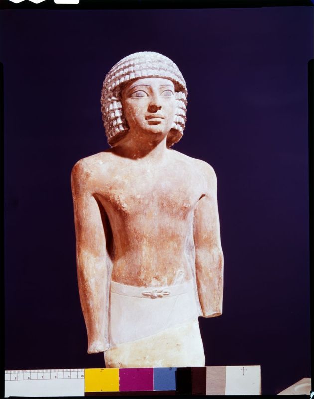 torse humain / Musées Royaux d'Art et d'Histoire