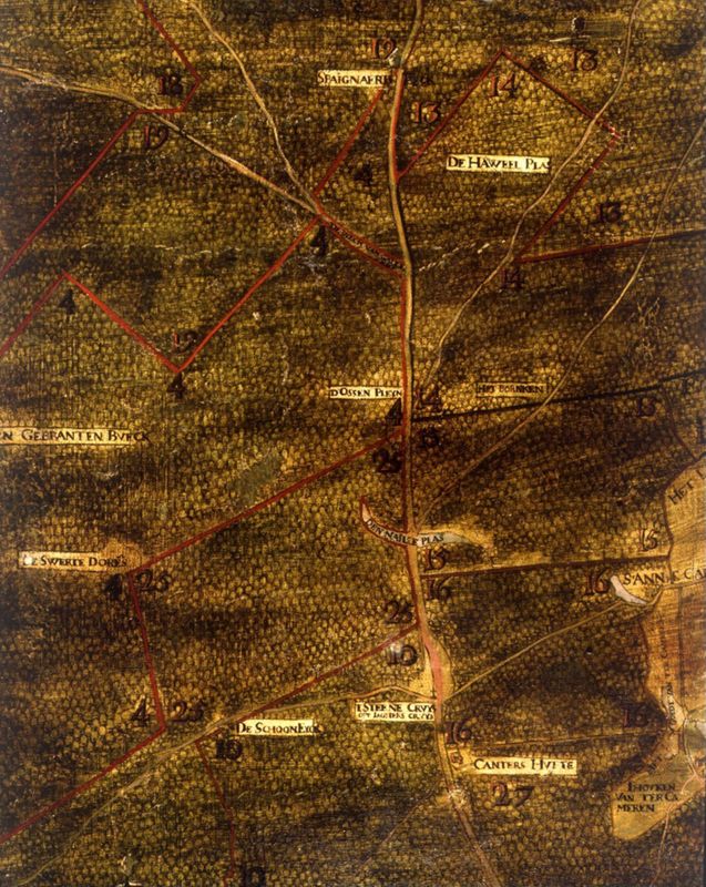 Forêt de Soignies