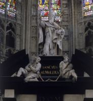 G003776