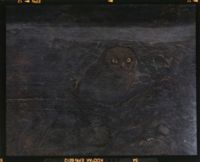 G004436