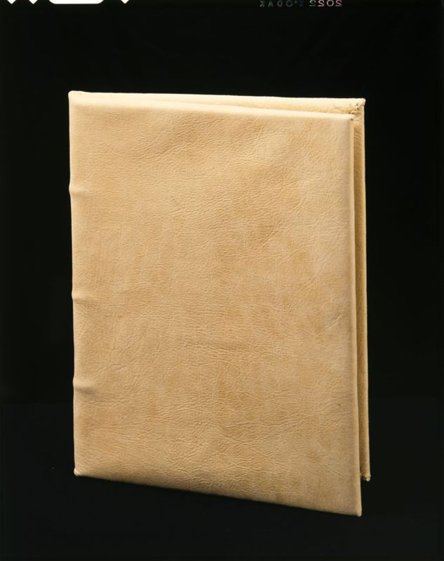 Codex Eyckensis
