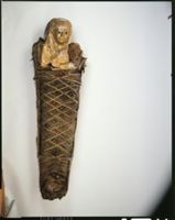 G005083