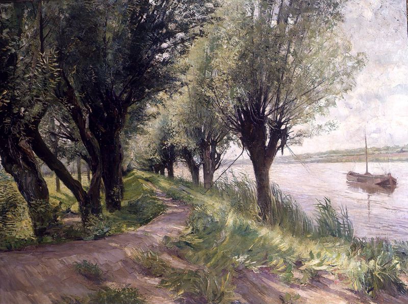 Wilgen langs de Schelde