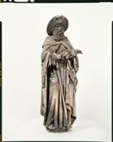 G006228