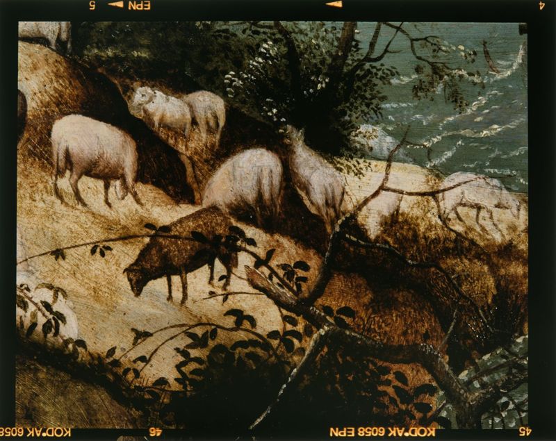 Val van Icarus