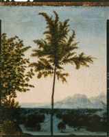 G006428