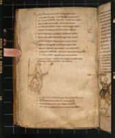 G008181